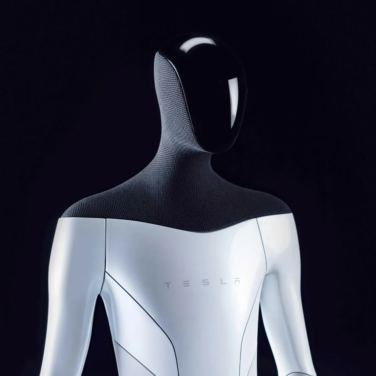 Tesla Bot (Available 2027)